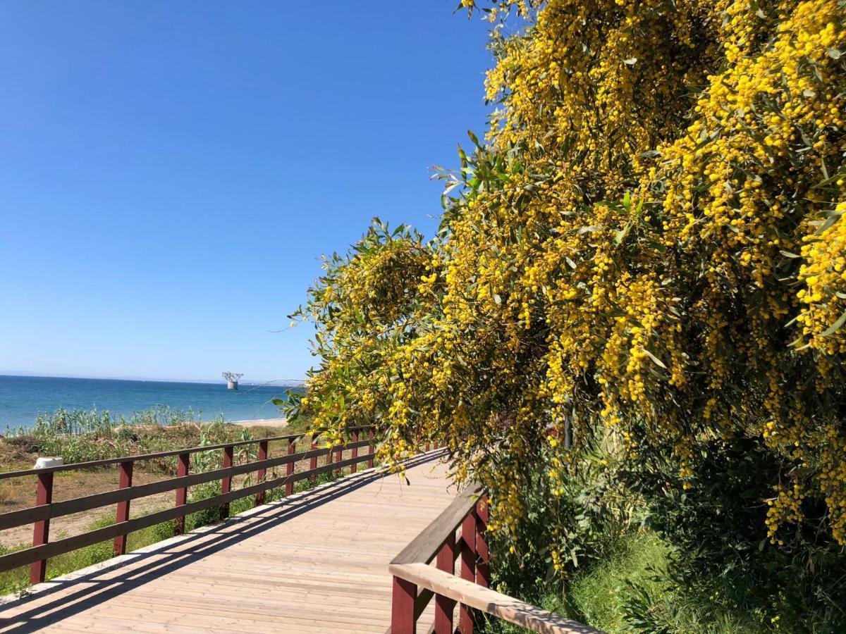 Studio-Near The Beach, Bbq And Seawater Pool Μαρμπέλλα Εξωτερικό φωτογραφία